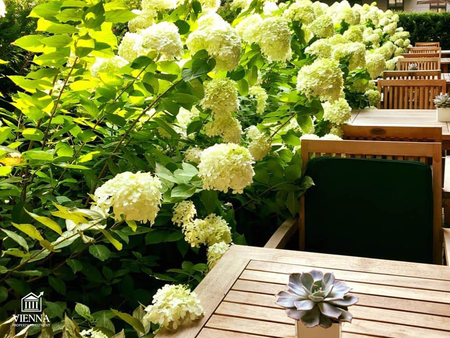 Josefstadt 8, rrethi i Vjenës, peizazhi