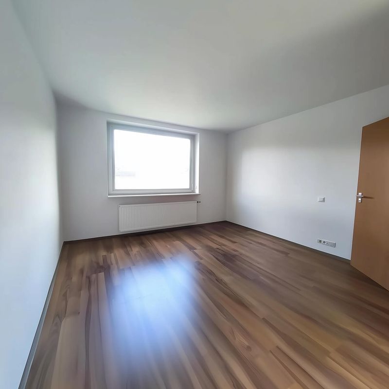 2-комнатная квартира в Вене, Rudolfsheim-Fünfhaus (15-й район)