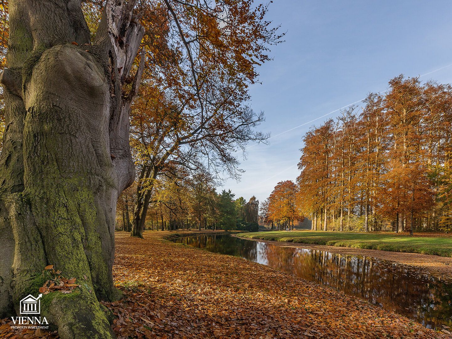лизинг венский лес