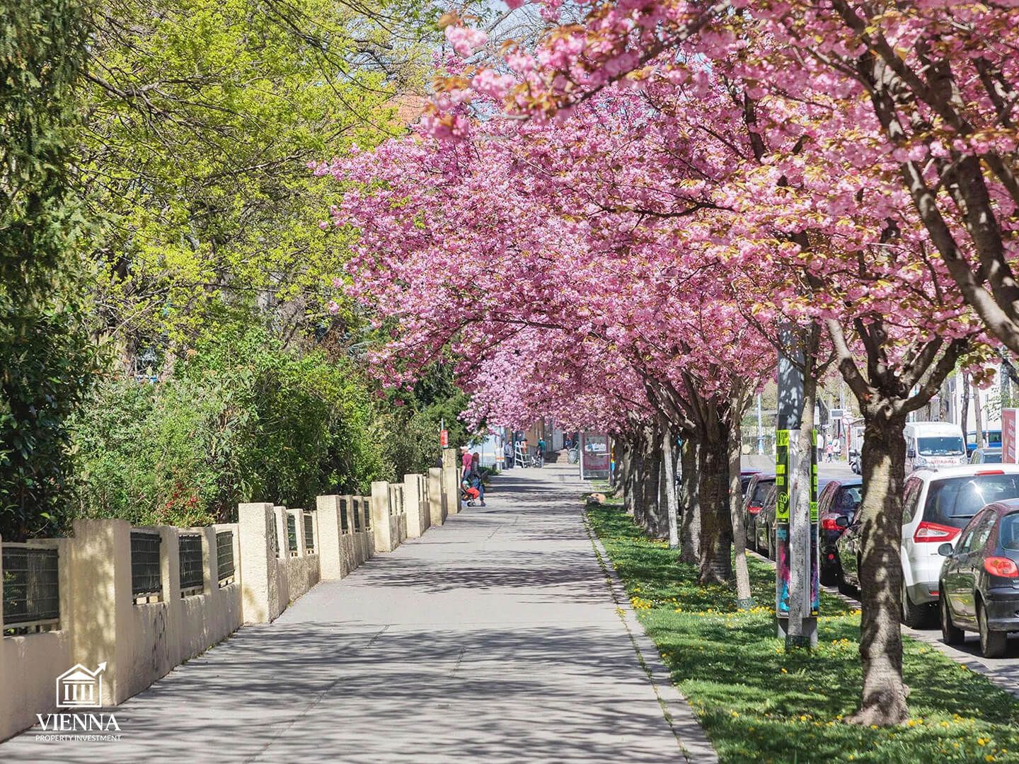 المنطقة السادسة عشر في فيينا أوتاكرينج كونجريس بارك