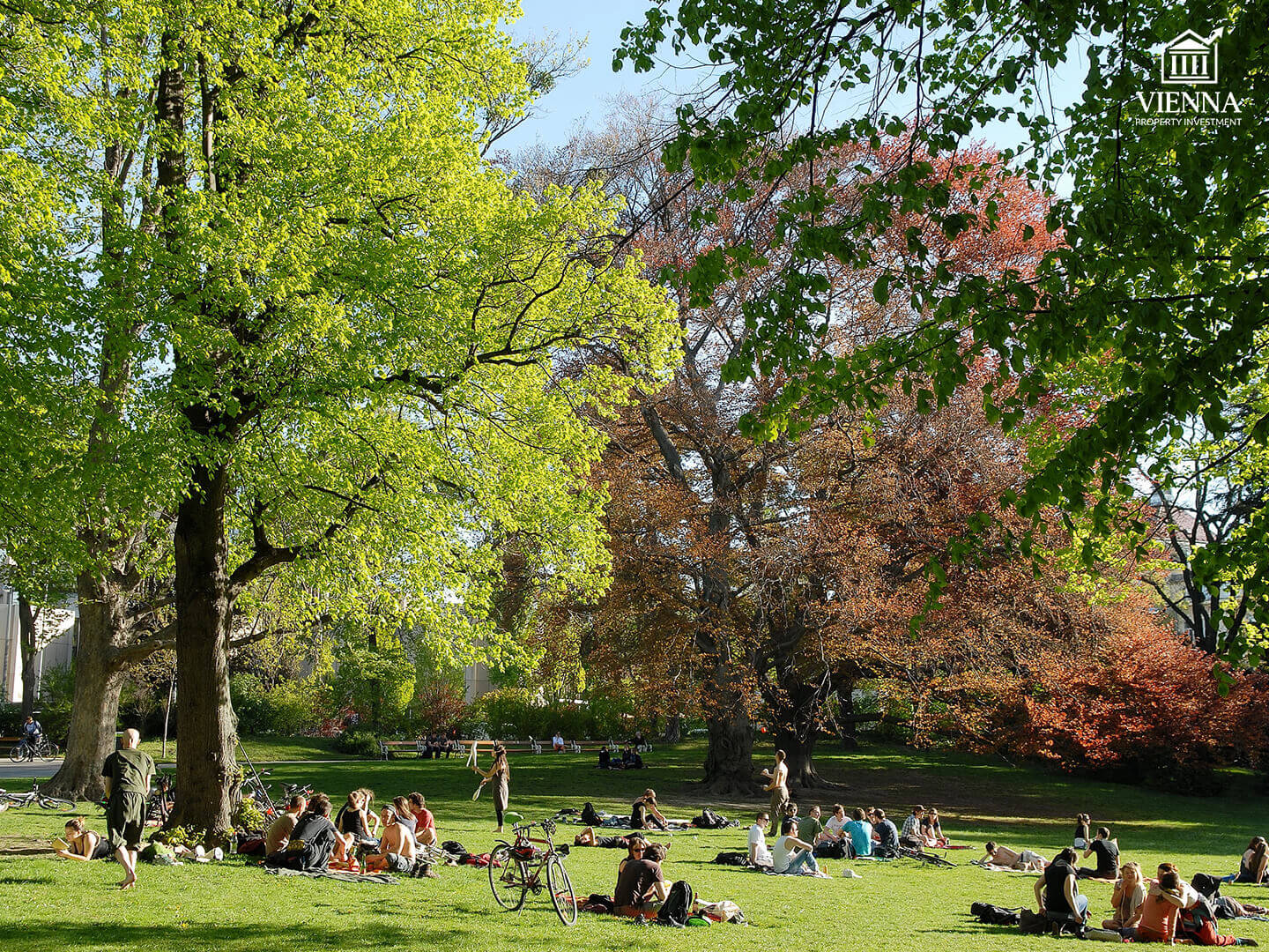 18 район вены вэринг парк