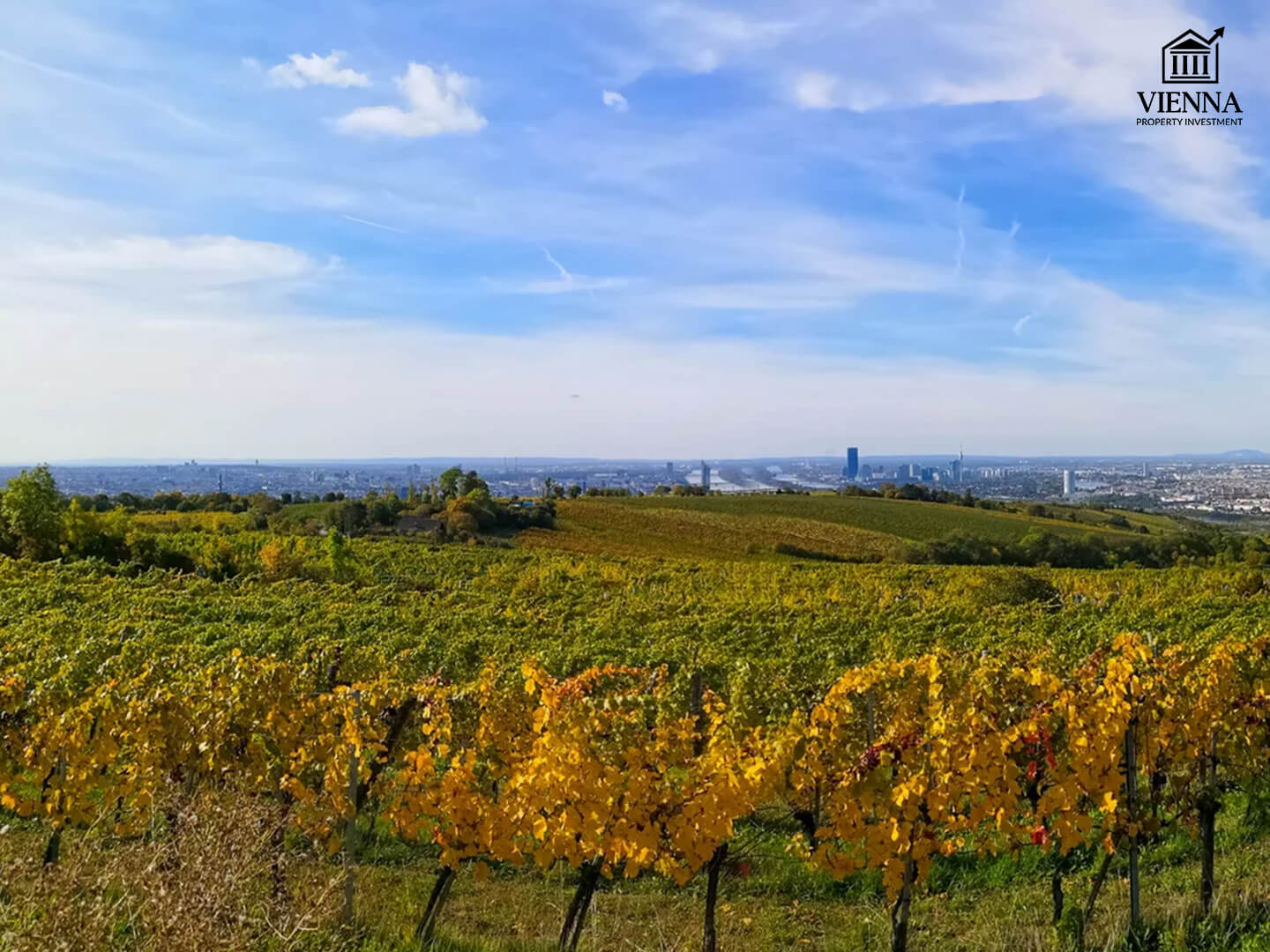 19-й район вены природа