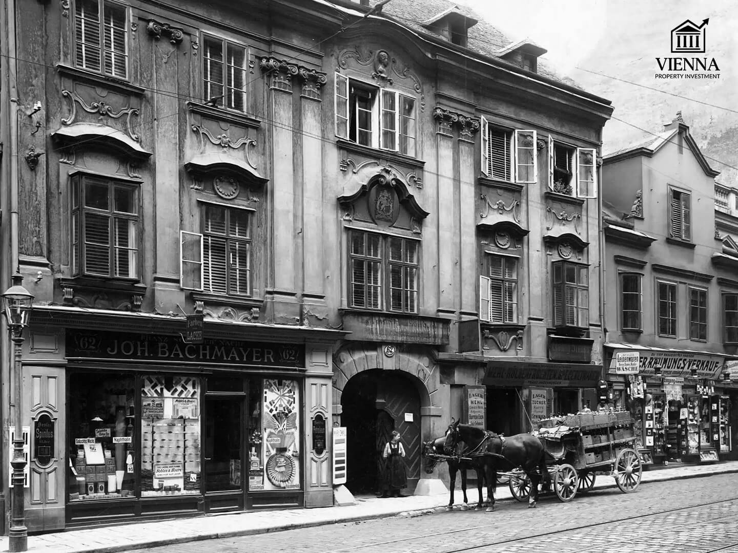 19. yüzyılda Viyana'nın Neubau semtinde bulunan Hof evleri
