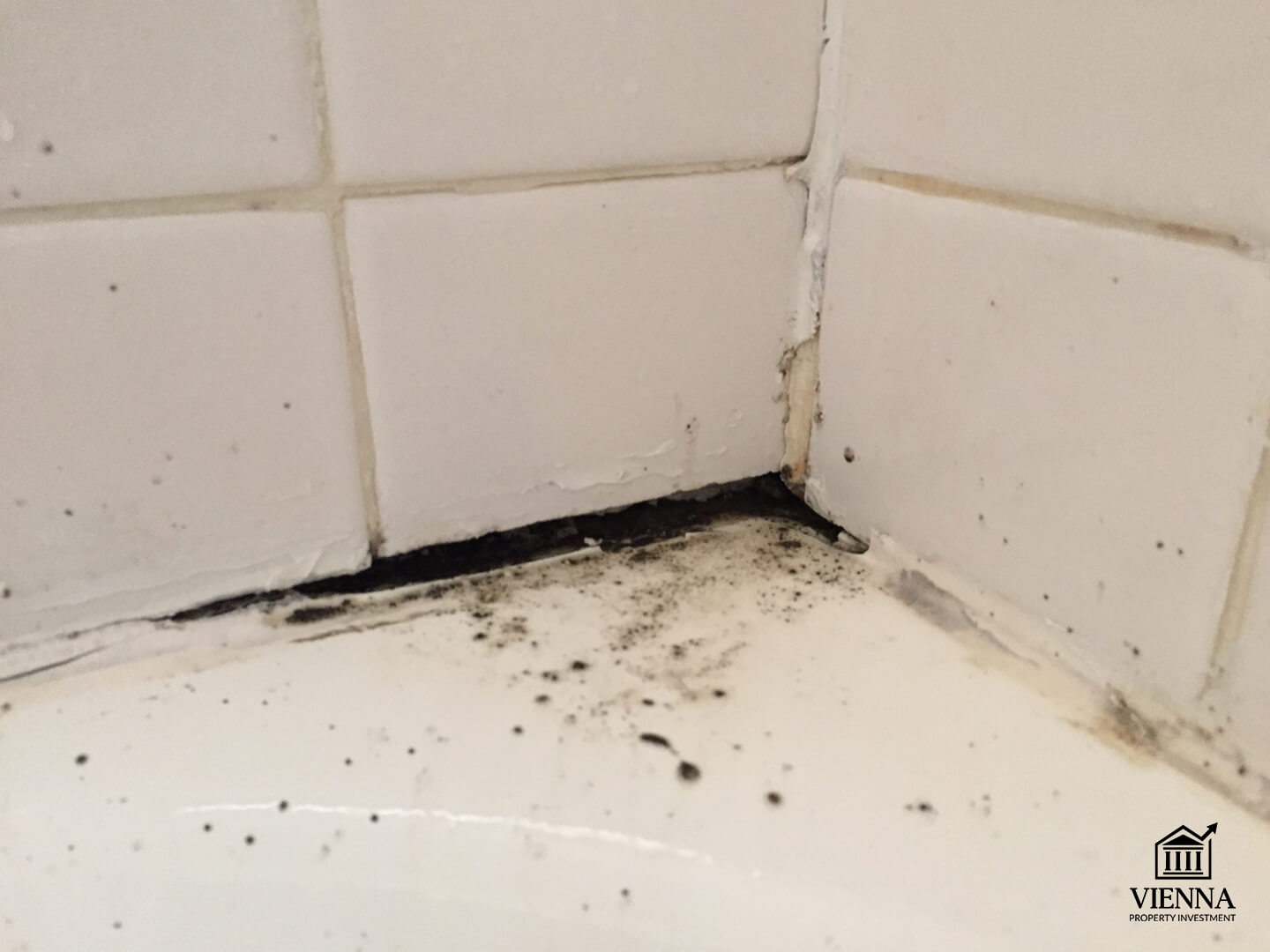 ভিয়েনায় ভাড়া হ্রাস, অস্ট্রিয়ায় ভাড়া আইন