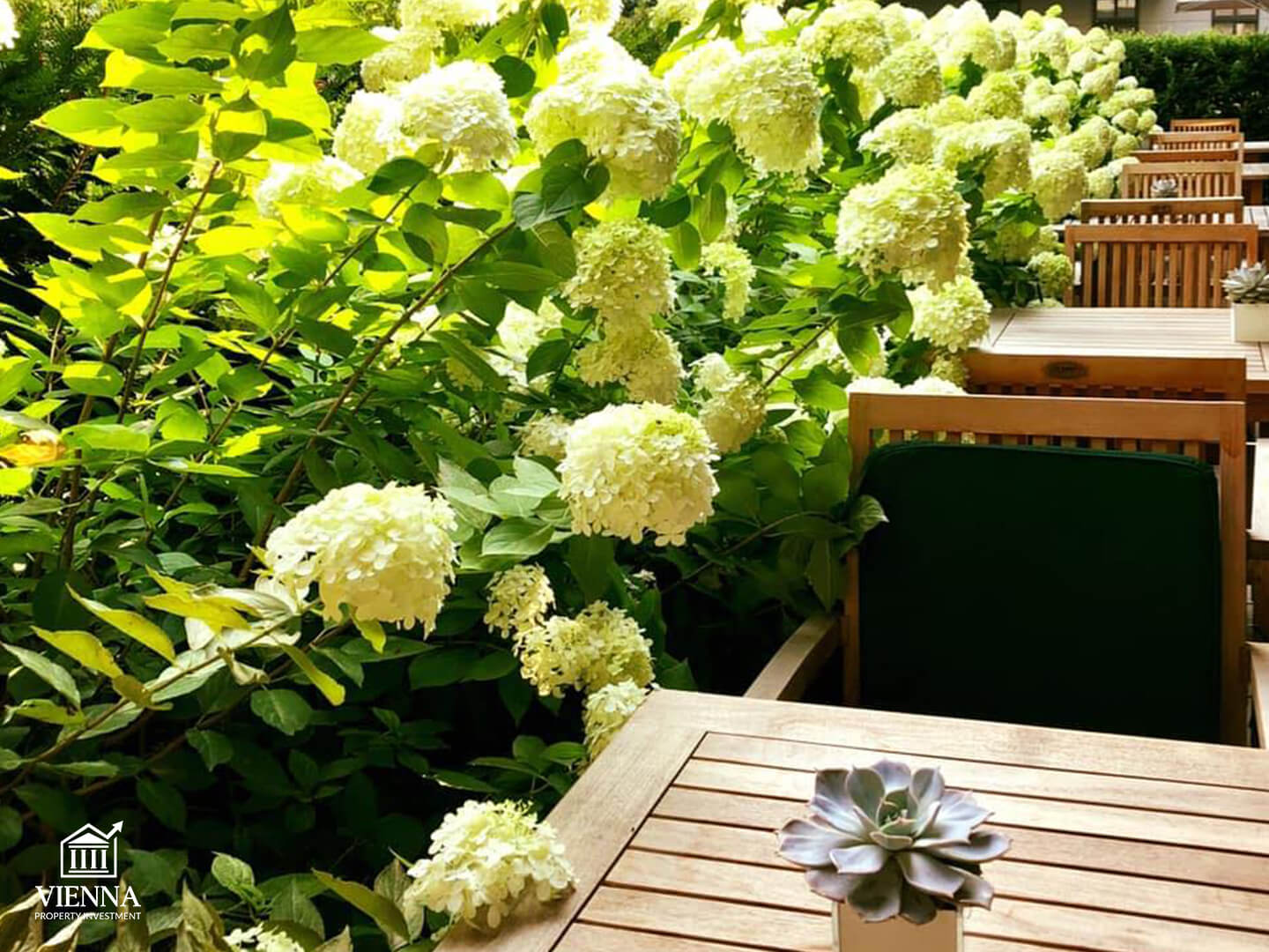 Josefstadt 8, ვენის რაიონი, გამწვანება