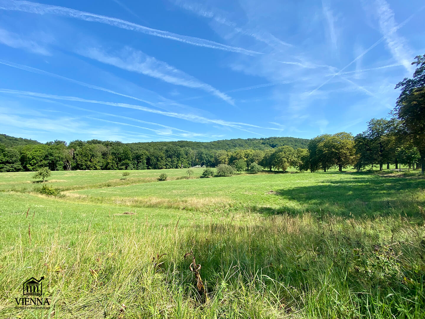 14 район вены пенцинг заповедник
