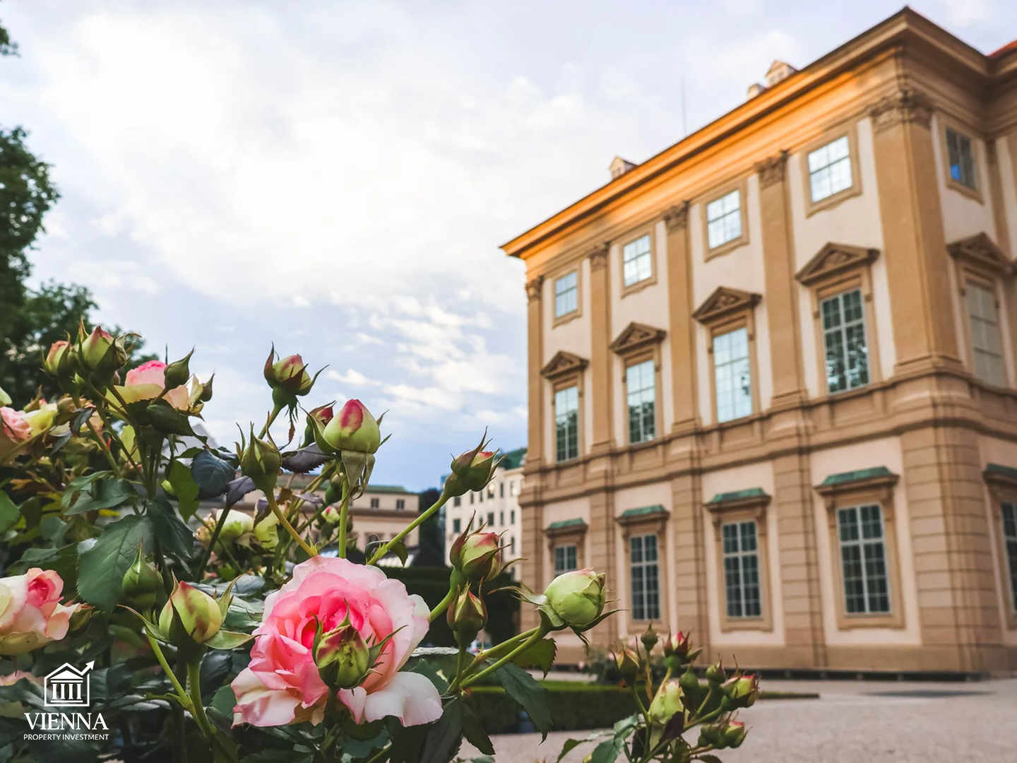 Alsergrund ika-9 na distrito ng buhay kultural ng Vienna