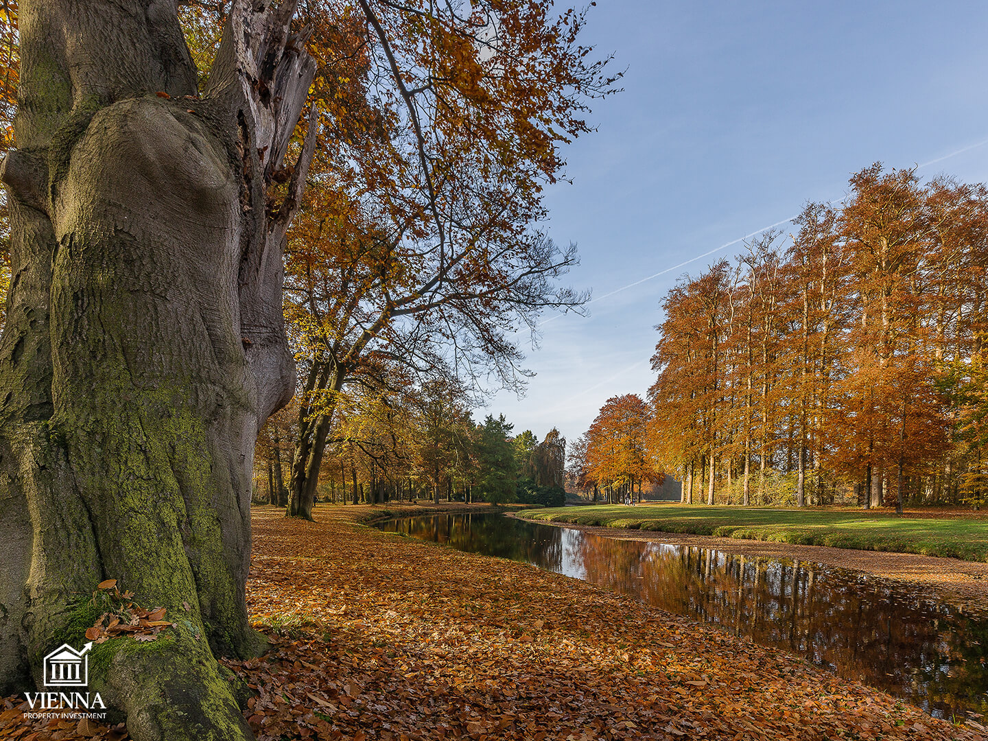 лизинг венский лес