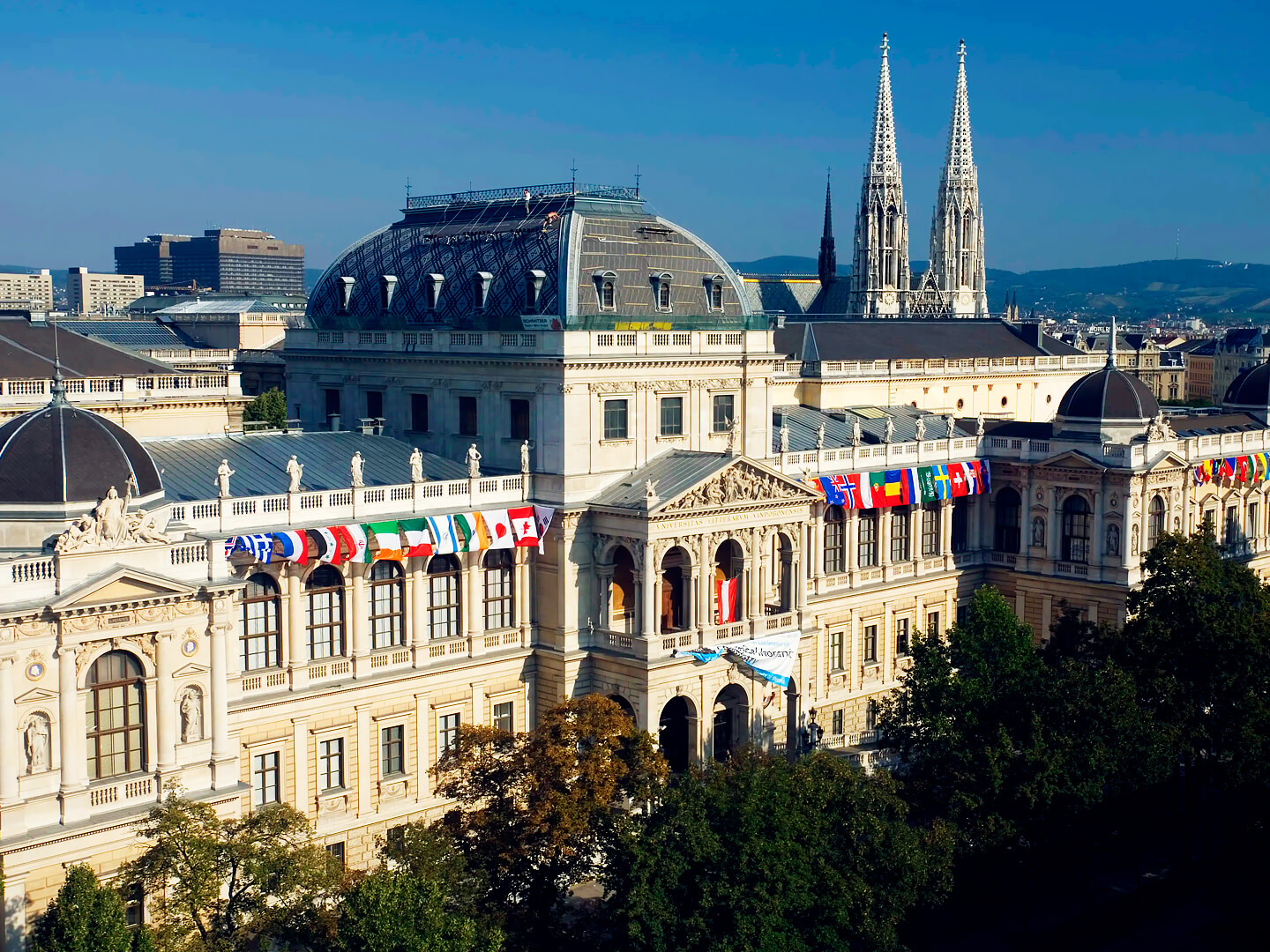 образование в линце