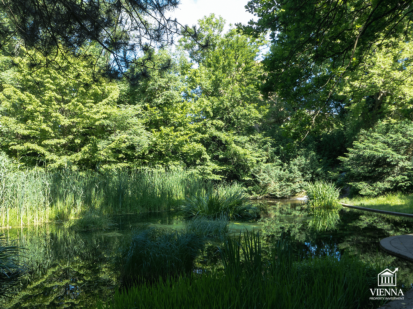 парки и зелёные зоны 21 района вены