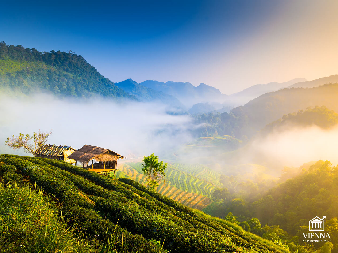 недвижимость таиланда климат