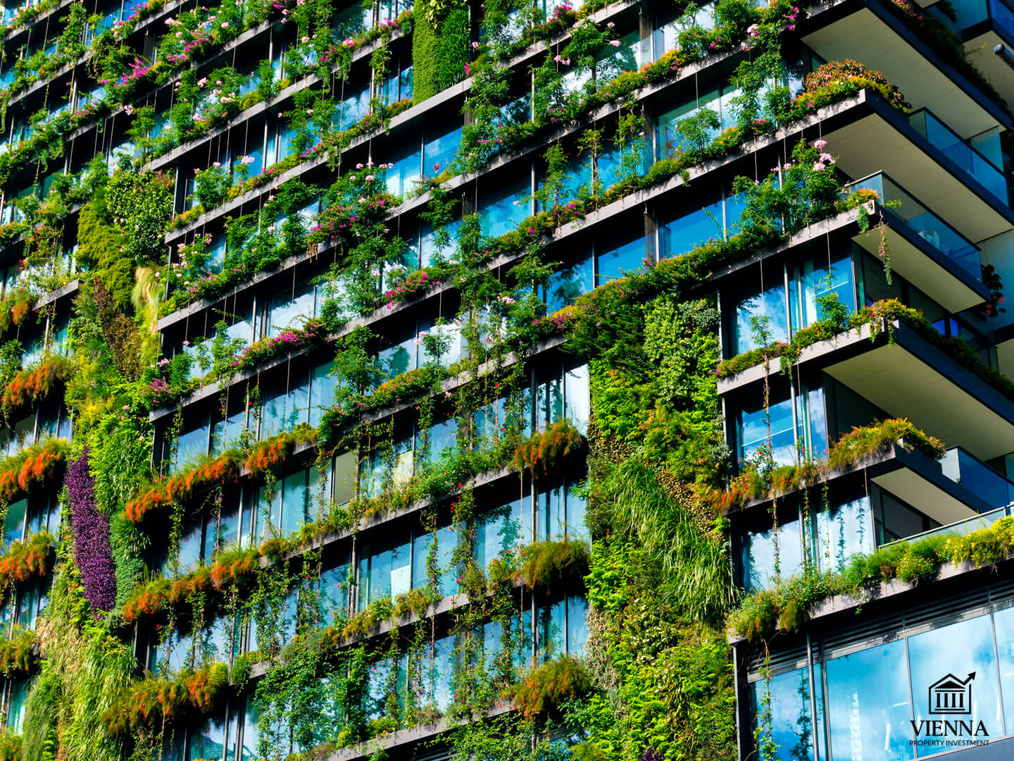 новые проекты в вене зеленая архитектура