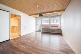 3-izbový byt vo Viedni, Ottakring (16. obvod)